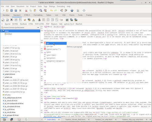 Web development screenshot